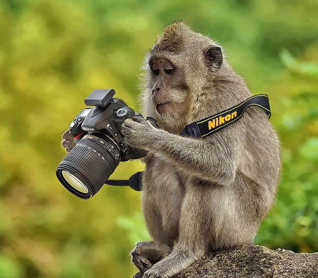 Выбираем фотоаппарат