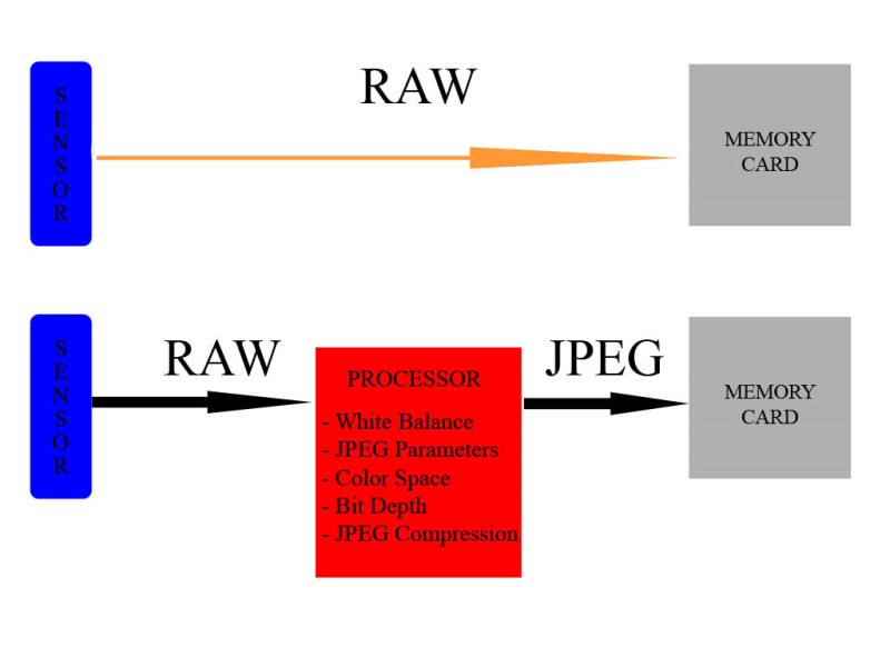 Всегда ли нужен RAW? - фото 2