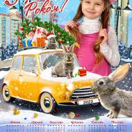 Год кролика
